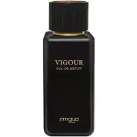 AFNAN Vigour Eau de Parfum 100 ml