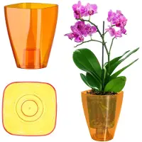 Kadax Bloempot, slanke orchideeënpot, eenvoudige plantenbak, bloempot voor orchidee, Moeras Madeliefjes, plantenbak voor keuken en woonkamer (Ø 12 cm, vierkant, oranje)