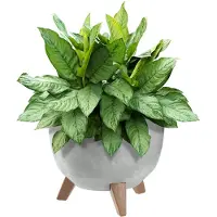 Kadax Kunststof bloempot met drie steunen, ronde bloembak, plantenpot, bloempot voor balkon, woonkamer (grijs, diameter 29 cm)