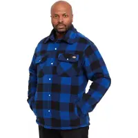 Dickies Heren Portland Shirt