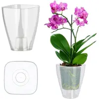 Kadax Bloempot, slanke orchideeënpot, eenvoudige plantenbak, bloempot voor orchidee, Moeras Madeliefjes, plantenbak voor keuken en woonkamer (? 12 cm, vierkant, transparant)