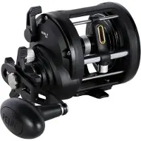 PENN Fishing Rival Ii Level Wind 30l Jigging Reel Zilver Ratio: 3.9:1