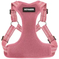 Voyager Best Pet Supplies Hondentuig Roze, Maat XL