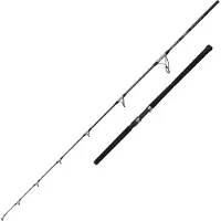 Penn Ally Ii Offshore Jigging Rod Zilver 2.49 m / 150 g