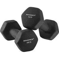 Songmics Dumbbell Set / voor heren Dames Workout Fitness Training Gewichtheffen, voor thuisgymnastiek 2 x 4 kg