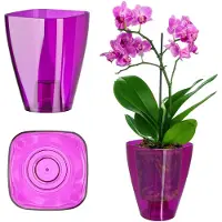 Kadax Bloempot, slanke orchideeënpot, eenvoudige plantenbak, bloempot voor orchidee, Moeras Madeliefjes, plantenbak voor keuken en woonkamer (? 9 cm, vierkant, pruim)