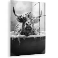 MuchoWow Glasschilderij 120x160 cm - Schilderij acrylglas - Schotse hooglander - Zwart wit - Bad - Schuim - Foto op glas - Muurdecoratie woonkamer - Wanddecoratie slaapkamer - Schilderijen