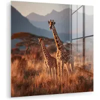 MuchoWow Glasschilderij 50x50 cm - Schilderij acrylglas - Giraffen - Hoog gras - Acaciabomen - Foto op glas - Muurdecoratie woonkamer - Wanddecoratie slaapkamer - Schilderijen