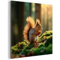 MuchoWow Aluminium schilderij 20x20 cm - Wanddecoratie metaal - Eekhoorn - Nootje - Gras - Metalen muurdecoratie woonkamer - Decoratie industrieel - Foto op dibond - Industriële accessoires slaapkamer