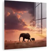 MuchoWow Glasschilderij 90x90 cm - Schilderij acrylglas - Olifanten - Grasland - Zonsondergang - Foto op glas - Muurdecoratie woonkamer - Wanddecoratie slaapkamer - Schilderijen