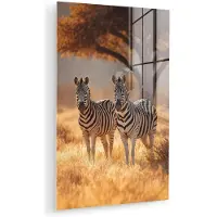 MuchoWow Glasschilderij 60x90 cm - Schilderij acrylglas - Zebra's - Savannelandschap - Gras - Foto op glas - Muurdecoratie woonkamer - Wanddecoratie slaapkamer - Schilderijen