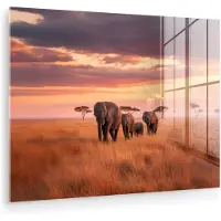 MuchoWow Glasschilderij 40x30 cm - Schilderij acrylglas - Groep olifanten - Open vlakte - Zon - Foto op glas - Muurdecoratie woonkamer - Wanddecoratie slaapkamer - Schilderijen