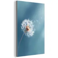 MuchoWow Aluminium schilderij 20x30 cm - Wanddecoratie metaal - Paardenbloem - Wind - Blauw - Metalen muurdecoratie woonkamer - Decoratie industrieel - Foto op dibond - Industriële accessoires slaapkamer