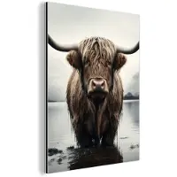 MuchoWow Aluminium schilderij 30x40 cm - Wanddecoratie metaal - Schotse hooglander - Water - Nat - Metalen muurdecoratie woonkamer - Decoratie industrieel - Foto op dibond - Industriële accessoires slaapkamer