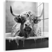 MuchoWow Glasschilderij 20x20 cm - Schilderij acrylglas - Schotse hooglander - Zwart wit - Bad - Schuim - Foto op glas - Muurdecoratie woonkamer - Wanddecoratie slaapkamer - Schilderijen