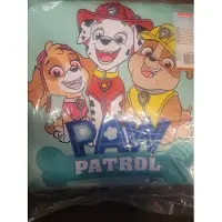 Paw Patrol kussen - Speciaal voor kinderen