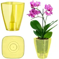 Kadax Bloempot, slanke orchideeënpot, eenvoudige plantenbak, bloempot voor orchidee, Moeras Madeliefjes, plantenbak voor keuken en woonkamer (? 9 cm, vierkant, geel)