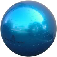 Trial Fysiobal V16 - Ø65 cm