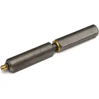 IBFM Aanlaspaumelle met smeernippel, stalen pen en messing ring 120x16 mm blank staal