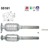 As 55161 Katalysator