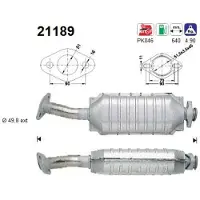 As 21189 Katalysator
