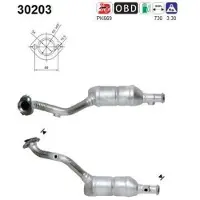 As 30203 Katalysator