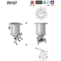 As 25127 Katalysator