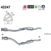 As 42247 Katalysator