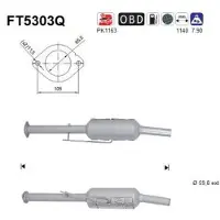 As FT5303Q Roetfilter (DPF)