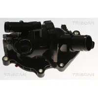 TRISCAN 8620 55998 Thermostaat, koelvloeistof