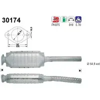 As 30174 Katalysator