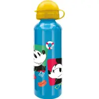 MICKEY AND FRIENDS 11262 Waterfles
