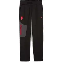 Puma Sportbroek grijs / rood / zwart