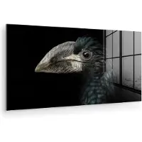 MuchoWow - Glasschilderij - Foto op glas - Acrylglas - Neushoornvogel - Dier - Snavel - Zwart wit - Vogel - 120x60 cm - Schilderij glas - Glasschilderij vogels - Glasschilderij zwart wit