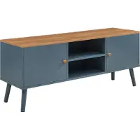 En.casa TV-meubel 'Reyljand' met 2 deuren, afmetingen 120 x 35 x 50 cm, kleur grijs / eikenlook