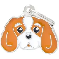 My Family Cavalier King Naamplaatje Voor Huisdieren