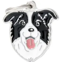 My Family Naamplaatje Voor Border Collie