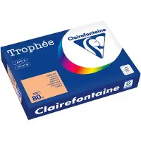 Clairefontaine Gekleurd papier Goudgeel A4 160 grams (250 vel)