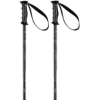 Elan Rock Rod Junior Stokken Zilver 75 cm Jongen