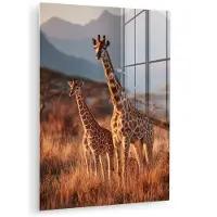 MuchoWow Glasschilderij 60x80 cm - Schilderij acrylglas - Giraffen - Hoog gras - Acaciabomen - Foto op glas - Muurdecoratie woonkamer - Wanddecoratie slaapkamer - Schilderijen