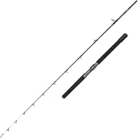 Penn Battalion Solid Electric Straight Butt Jigging Rod Zilver 2.29 m / 500-1000 g