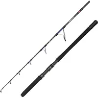 Penn Overseas Xt Ii Jigging Rod Zilver 1.55 m / 400 g