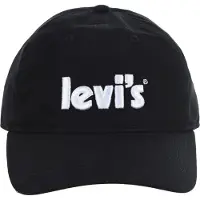 Levi's Kids Baseball pet Poster Logo