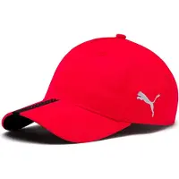 Puma Liga Pet