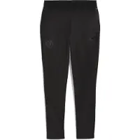 Puma FC St. Pauli Training Pant 2025/2026
