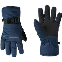 Dare 2b Glacier Handschoenen Junior 11-12