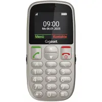 Gigaset GL395 - Function telefoon - Dual-SIM - RAM 32 MB / Intern geheugen 32 MB - microSD-slot - LCD-scherm (TFT)