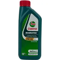 Castrol 15F6DD Motorolie