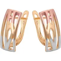 NAEMI Oorbellen goud / rose-goud / zilver