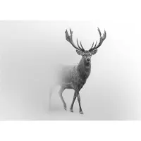 WALLARENA - Fotobehang - 150x105 cm - Herten in de mist voor slaapkamer en woonkamer, wanddecoratie